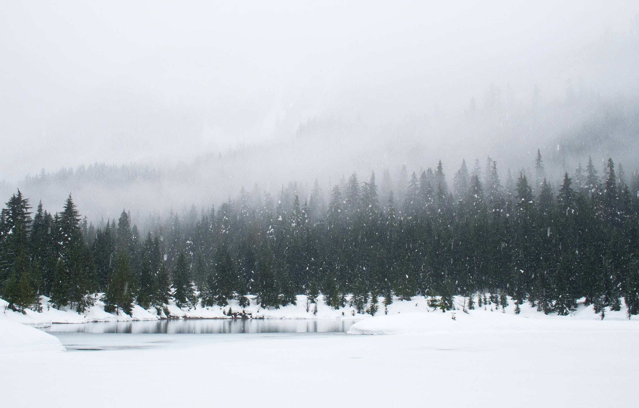 adam-chang-IWenq-4JHqo-unsplash