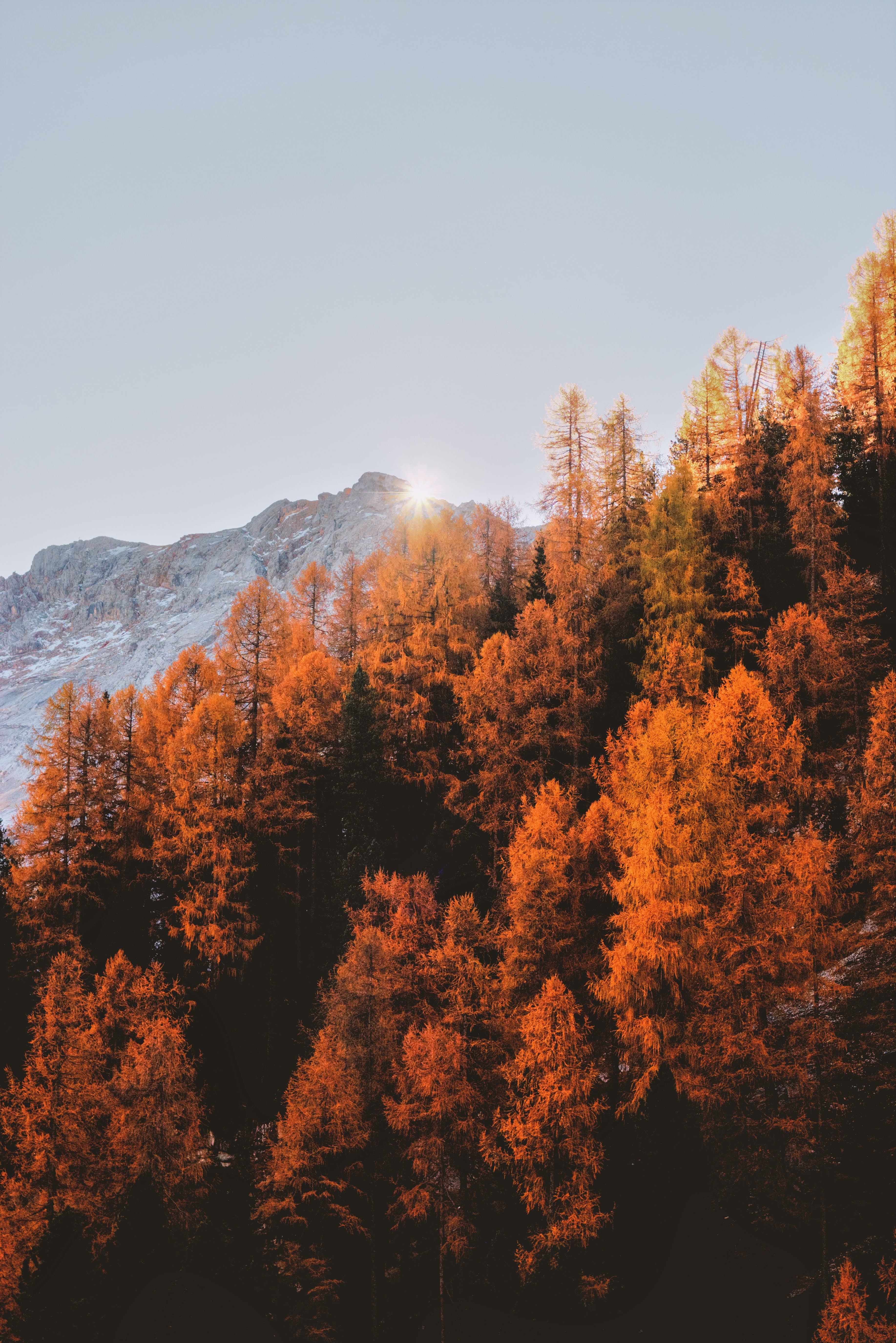 eberhard-grossgasteiger-wUWP53W7KbY-unsplash