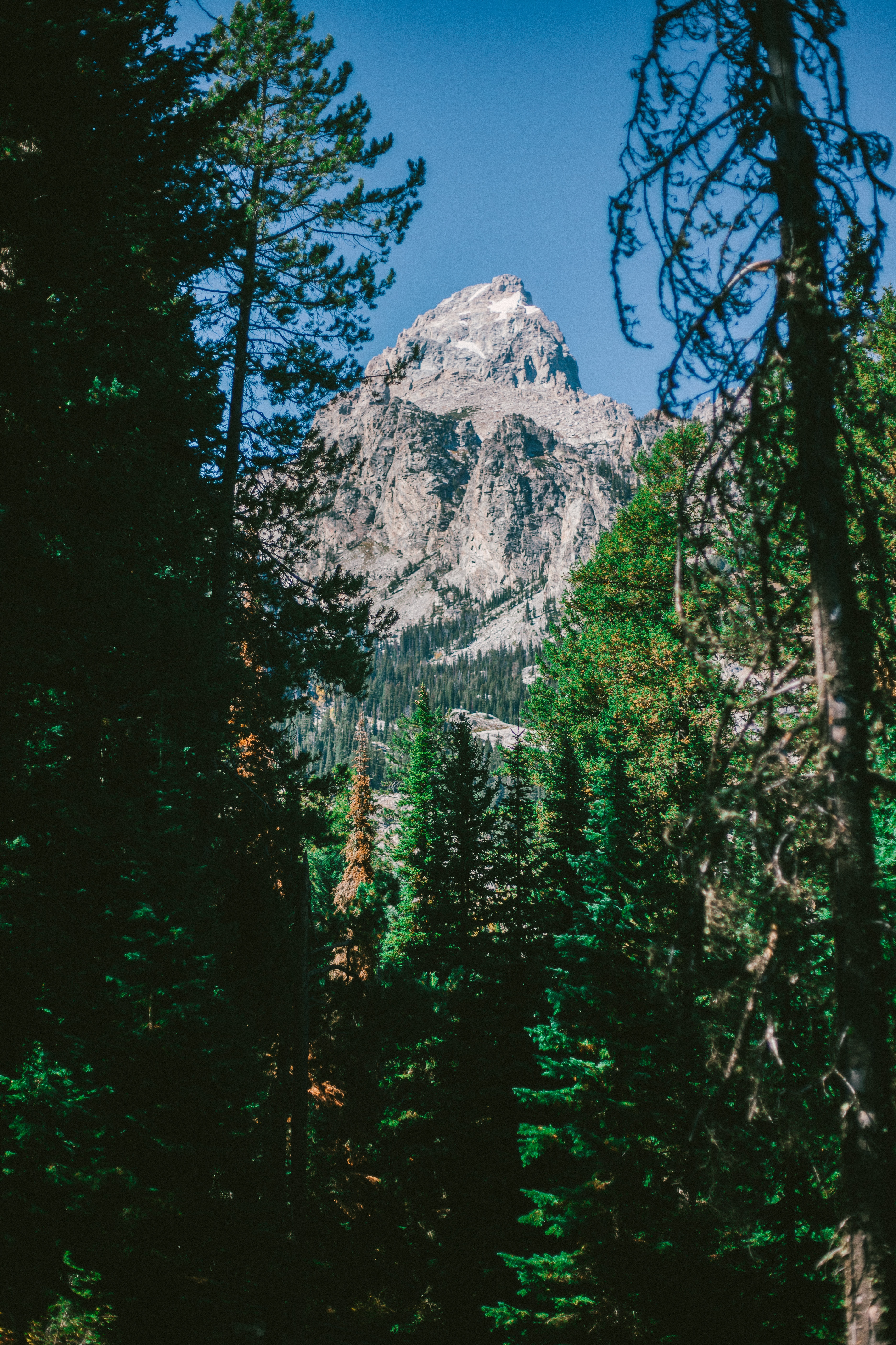 james-fitzgerald-r2DCnBUqnDM-unsplash