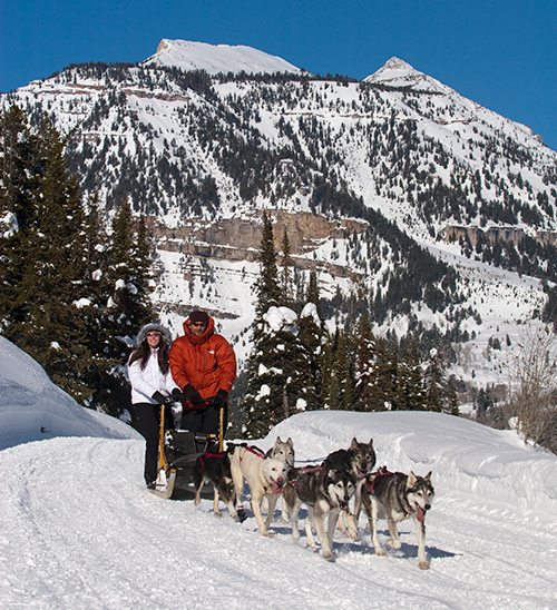 sled-dog-tours-granite-hot-springs