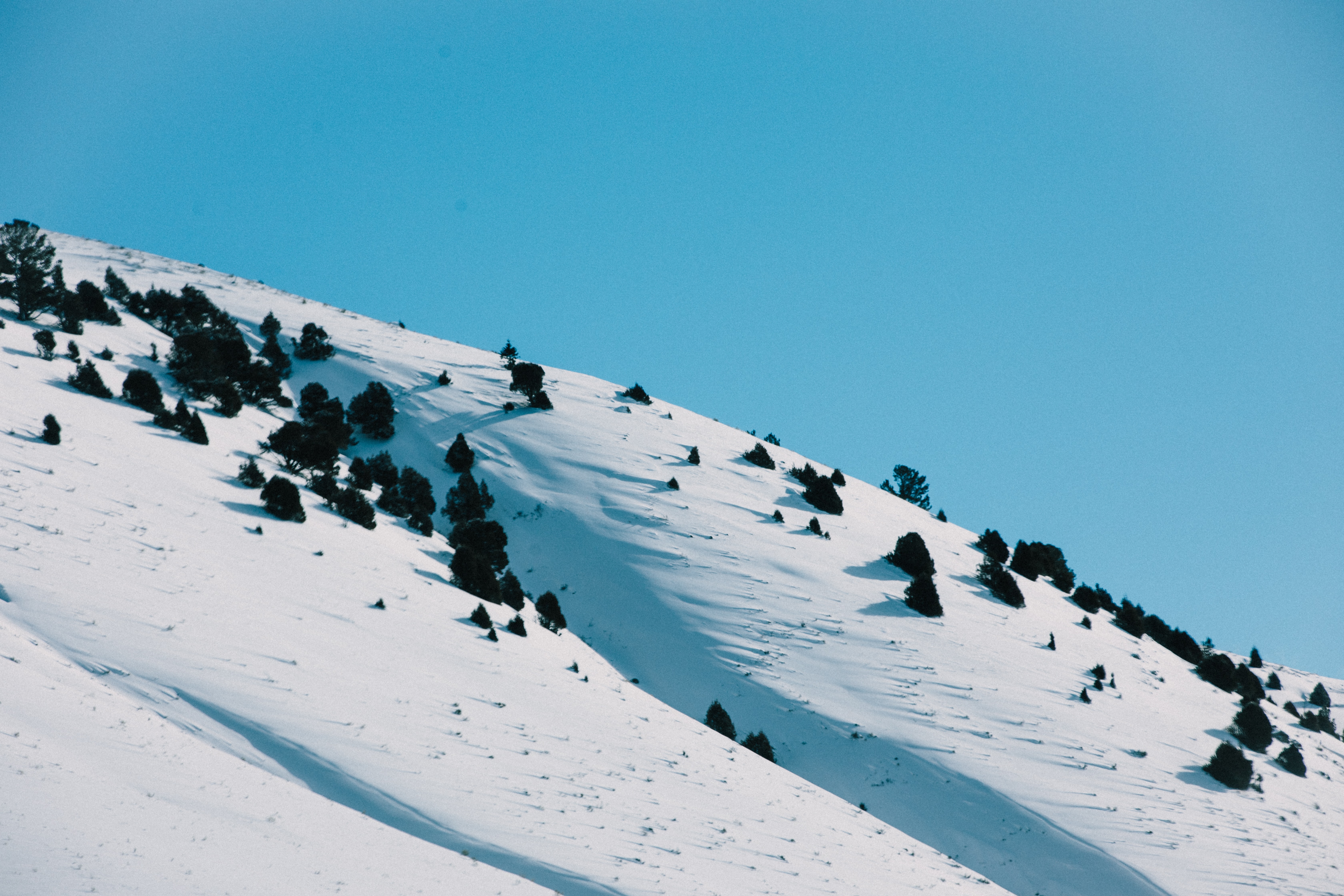 wes-hicks-IRTQuyyV_1k-unsplash
